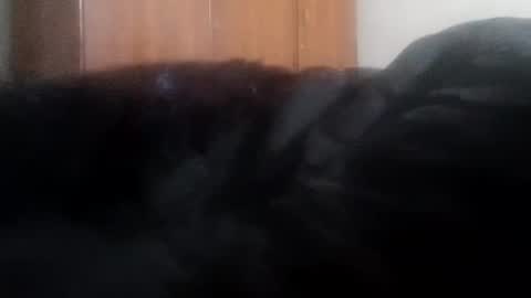 katrina follow me guys online show from 01.01.25