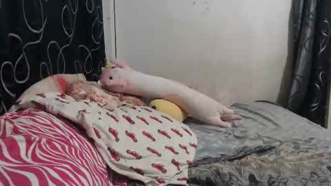 loveme114 online show from 03.30.26