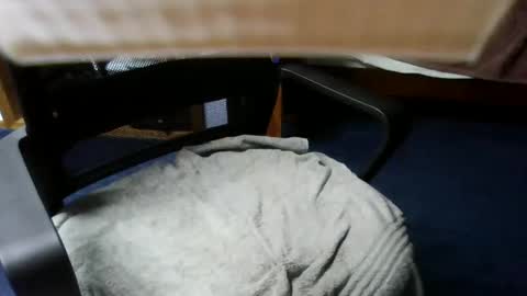 Snapshot of lovetolick272988 chatting on 10.21.25 lovetolick272988 online show from 10.21.25