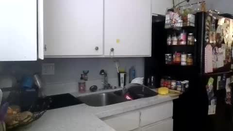 Snapshot of lrogopsid chatting on 03.12.25 dreamboatbod online show from 03.12.25