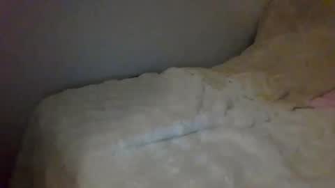 Luca online show from 12.26.24