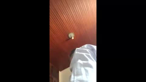 Snapshot of lucasgody chatting on 01.16.26 lucas online show from 01.16.26