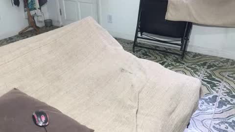 lucifer_curious online show from 01.05.26