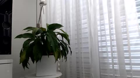 luckystrike6981 online show from 04.22.26