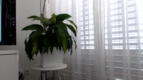 luckystrike6981 online show from 04.23.26