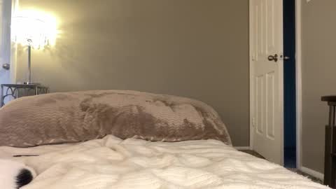 Lucy online show from 11.25.25