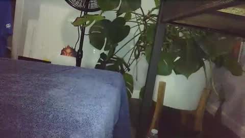 Snapshot of lukesky222 chatting on 02.14.26 Luke online show from 02.14.26