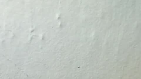 Snapshot of lukin8712 chatting on 02.08.26 lukin8712 online show from 02.08.26