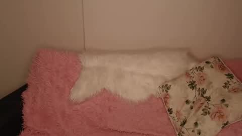 Snapshot of luna_moon77 chatting on 12.20.25 Luna online show from 12.20.25