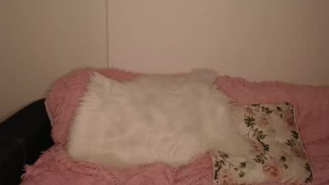 Snapshot of luna_moon77 chatting on 02.13.26 Luna online show from 02.13.26