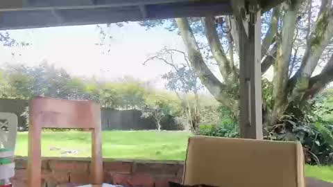 lunaluxe1001 online show from 03.20.26