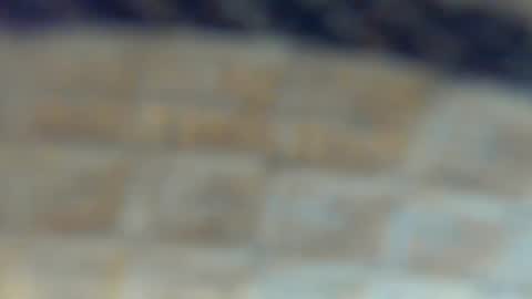 Ln  online show from 12.12.24