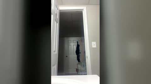 Snapshot of lunamoth00 chatting on 12.15.25 lunamoth00 online show from 12.15.25