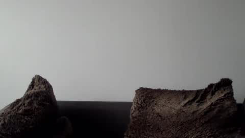 Snapshot of lupine_666 chatting on 01.05.25 Lupine online show from 01.05.25