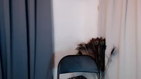 Snapshot of lustyseraphina chatting on 02.20.26 lustyseraphina online show from 02.20.26