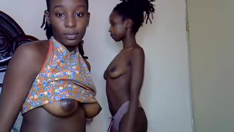 lutino_lovebirds online show from 03.14.26