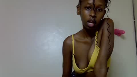 lutino_lovebirds online show from 05.07.26