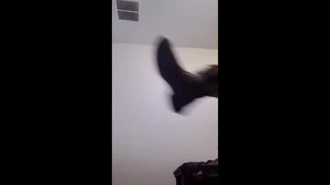 m2tonerfux online show from 04.25.26