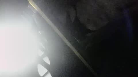 SLoppYxXPeeHoLeXxGspotxX online show from 04.03.26