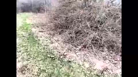 ma747047 online show from 04.06.26