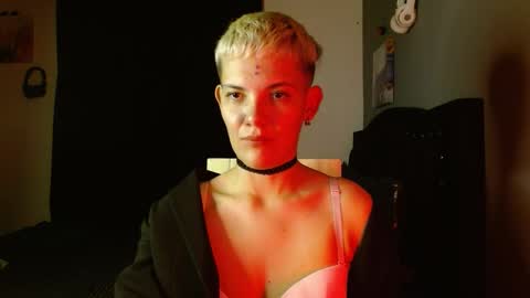 Noah Askew online show from 01.14.26