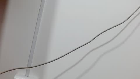 Snapshot of maddy_14 chatting on 12.21.24 Maddy UwU online show from 12.21.24