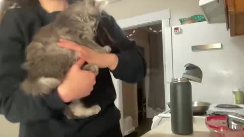 Snapshot of maddyhasyummypussy chatting on 12.15.25 maddyhasyummypussy online show from 12.15.25