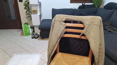 Snapshot of maialinofriuli chatting on 12.02.25 maialinofriuli online show from 12.02.25