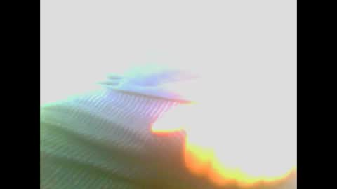 maioris6 online show from 02.22.25