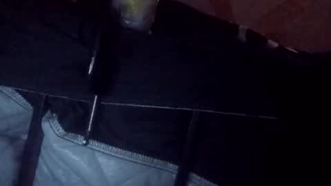 makeunumb88 online show from 03.20.26