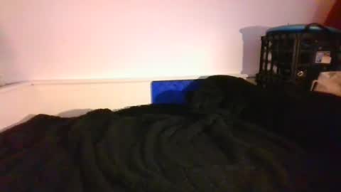 Snapshot of malebdsmslut chatting on 12.14.24 CommandbondageNipples bondage kink submissive lovense slave wgear. modequiethvyBondage If Password goldfish online show from 12.14.24