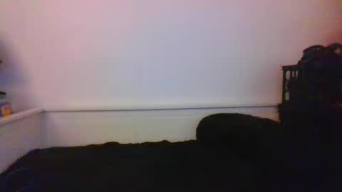 Snapshot of malebdsmslut chatting on 01.24.25 CommandbondageNipples bondage kink submissive lovense slave wgear. modequiethvyBondage If Password goldfish online show from 01.24.25