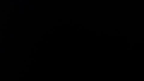 Alice Asylum online show from 11.02.25