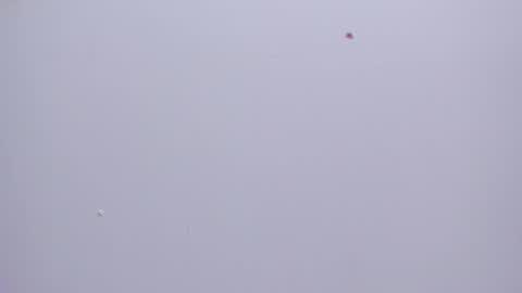 malory__jones online show from 01.16.26