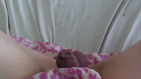 ..          .. online show from 02.22.25