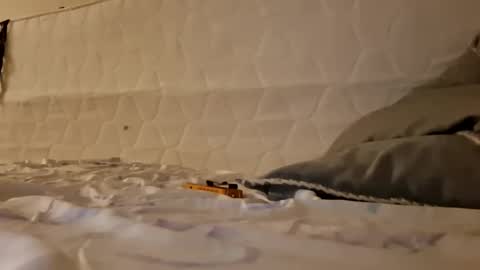 Jan and Man online show from 03.17.26