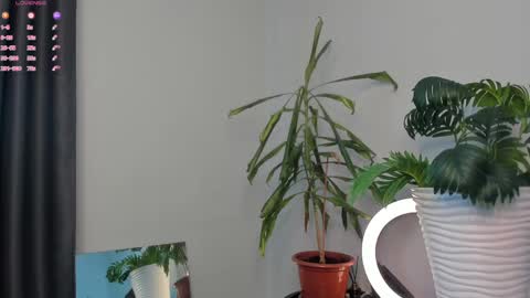 Manita online show from 05.05.26