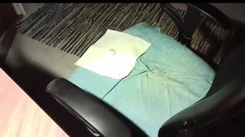 manswed online show from 01.12.25