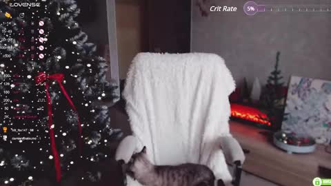 Marcy online show from 12.05.24