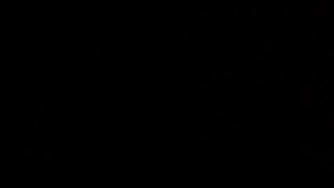 Elle online show from 10.26.25