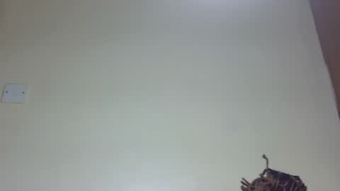 Marie online show from 06.26.26
