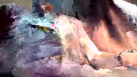 mark102839 online show from 03.13.26