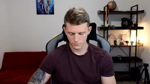 mark_shturman online show from 02.08.26