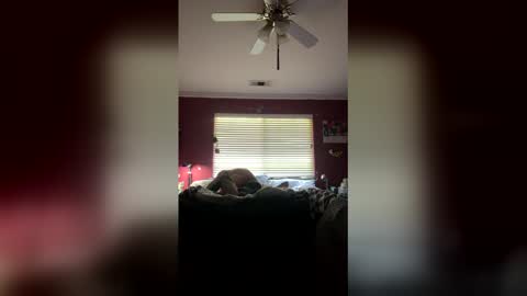 Snapshot of markcali87 chatting on 02.20.26 markcali87 online show from 02.20.26