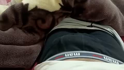 Snapshot of marocreda33 chatting on 01.30.25 marocreda33 online show from 01.30.25