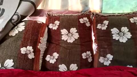 Snapshot of marocreda33 chatting on 02.10.25 marocreda33 online show from 02.10.25