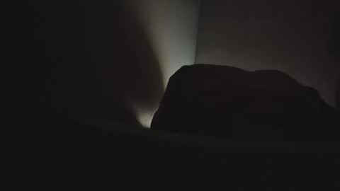 martamoontrans online show from 02.03.26