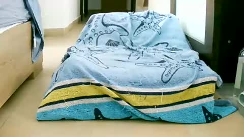 Snapshot of martinas_fantasies chatting on 10.12.25 Play with me I obey I promise online show from 10.12.25