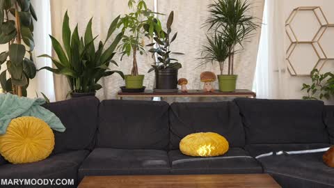 Mary Moody online show from 03.09.26