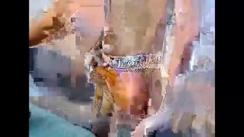 master_jale03 online show from 02.05.26